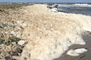 Schaum am Strand