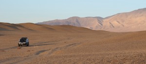 Wüstenbildung im Nationalpark Khar Us Nuur in der Mongolei: Eine große Gefahr bei zu vielen Nutztieren auf karger Vegetation. © Oliver Samson, WWF