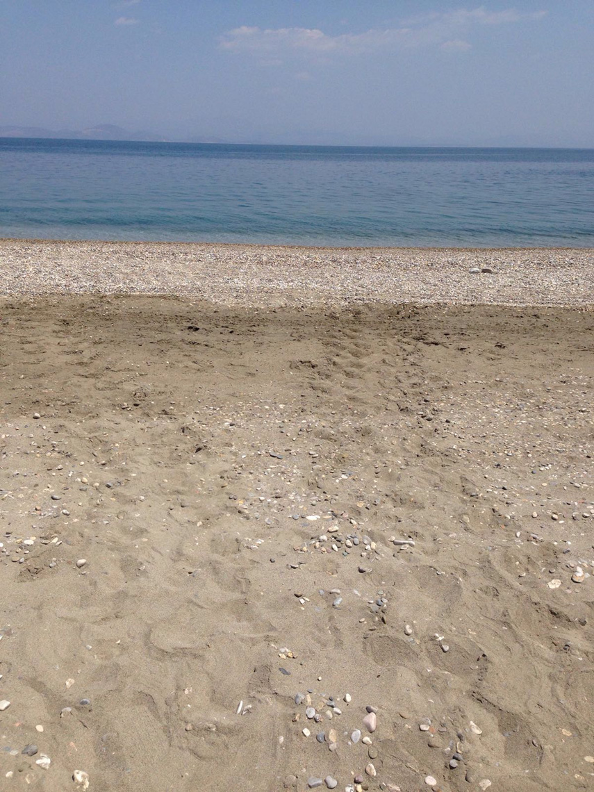 Schildkröten-Spuren in Griechenland am Strand
