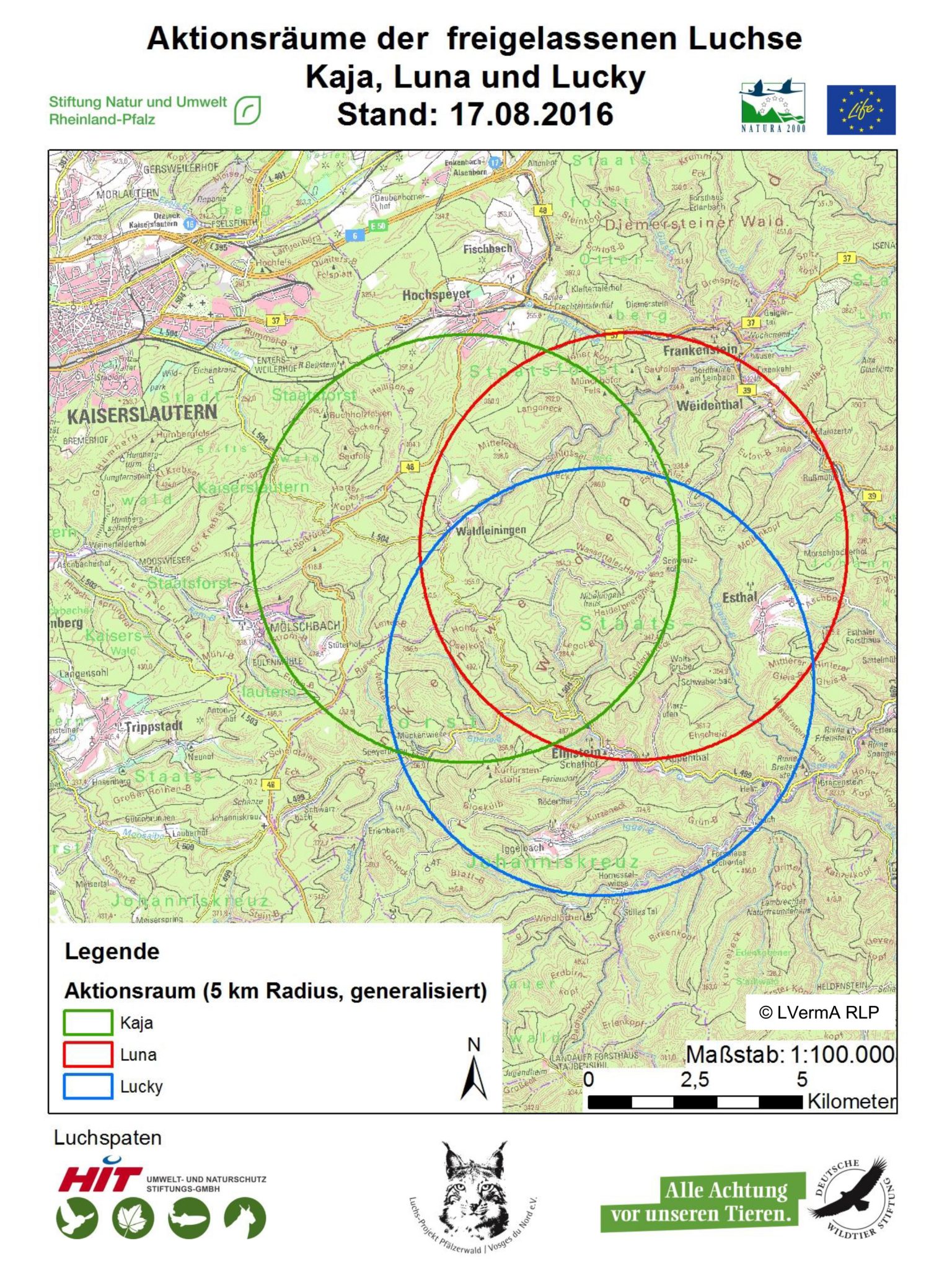 Karte mit der Daten der GPS sender: Wo wandern die Luchse in der Pfalz nach ihrer Auswilderung im August 2016