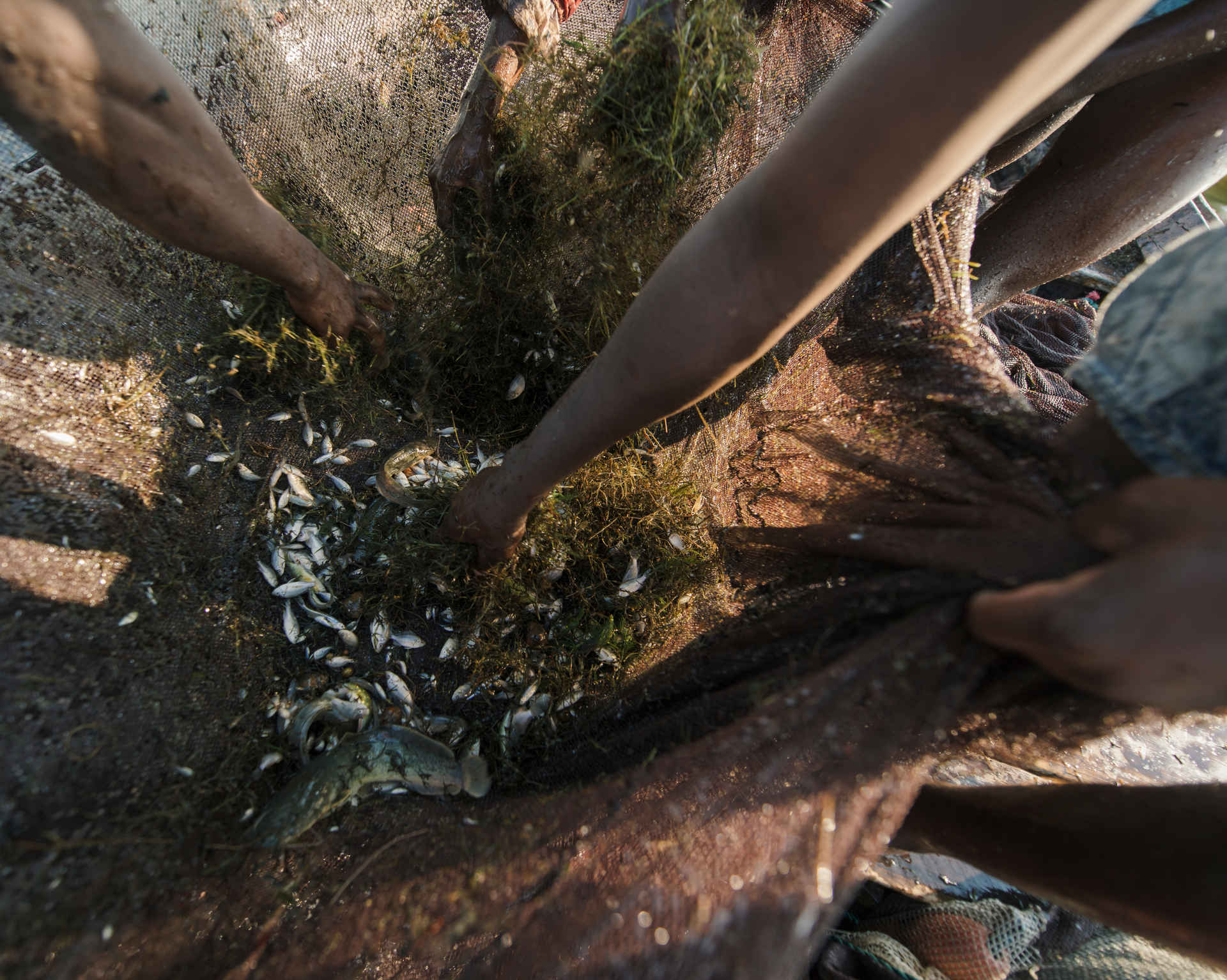 Fischfang mit extrem engmaschigem Netz in Mozaqmbique