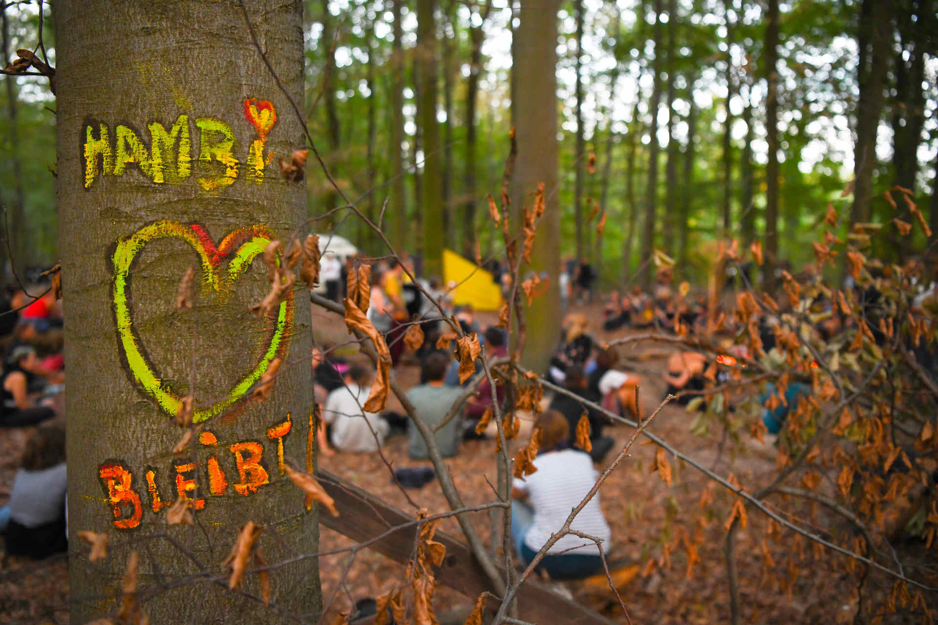 hambacher wald demonstration