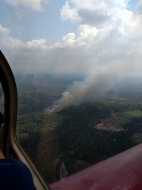 Brasilien und Klimawandel: Luftbild von brennendem Amazonas