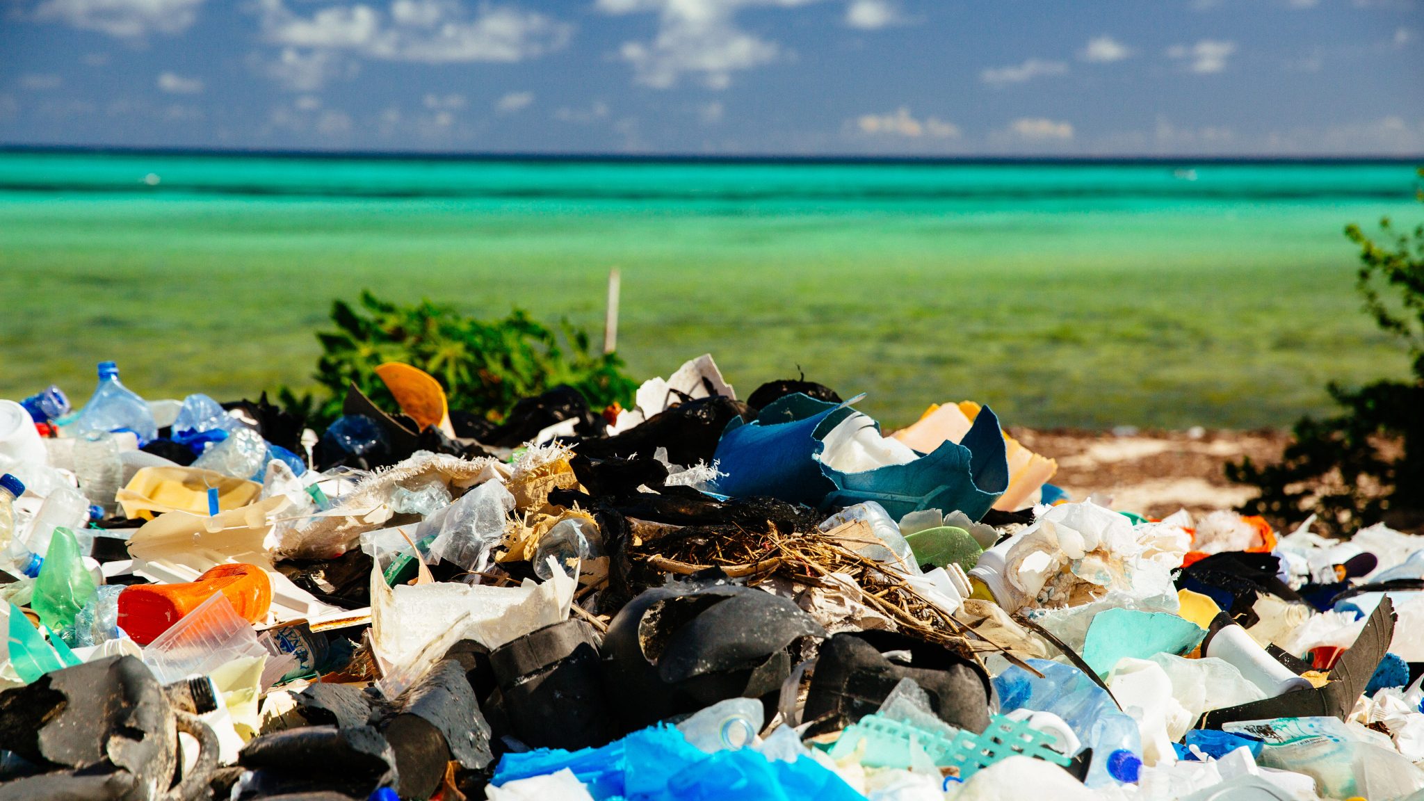 Im schlimmsten Fall landen die Verpackungen unrecycelt auf dem Müll. © Greg Armfield/WWF-UK