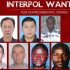 Most wanted Umweltverbrecher