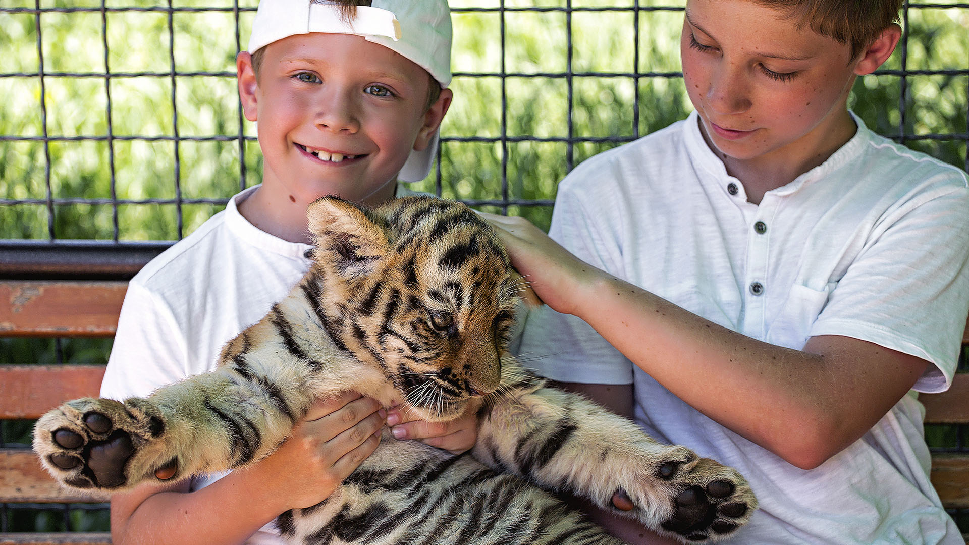 Tiger King: Jungen streicheln Tiger