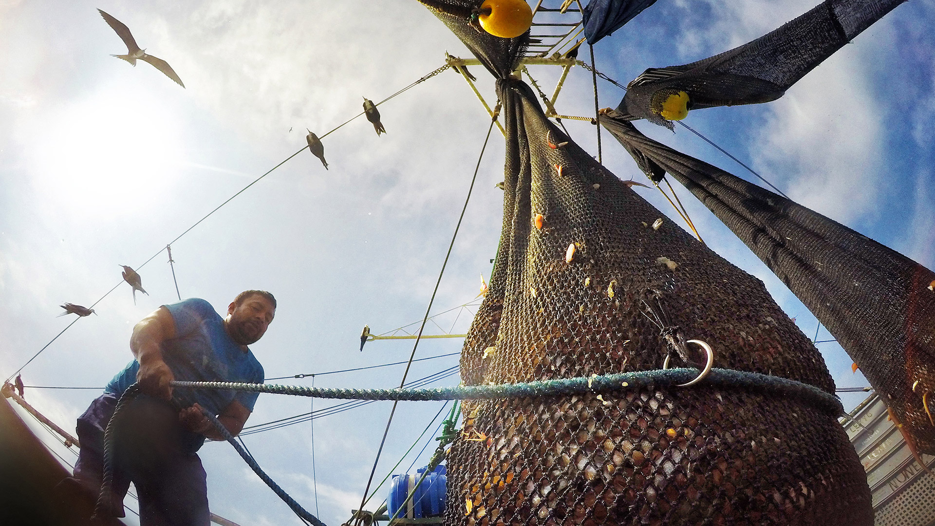 Warum wir weniger Fisch essen sollten - volles Fischernetz als Symbol für die Überfischung