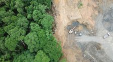 Banken können Entwaldung vorantreiben - oder das Gegenteil tun. Entwaldungsschneise auf Borneo Luftbild