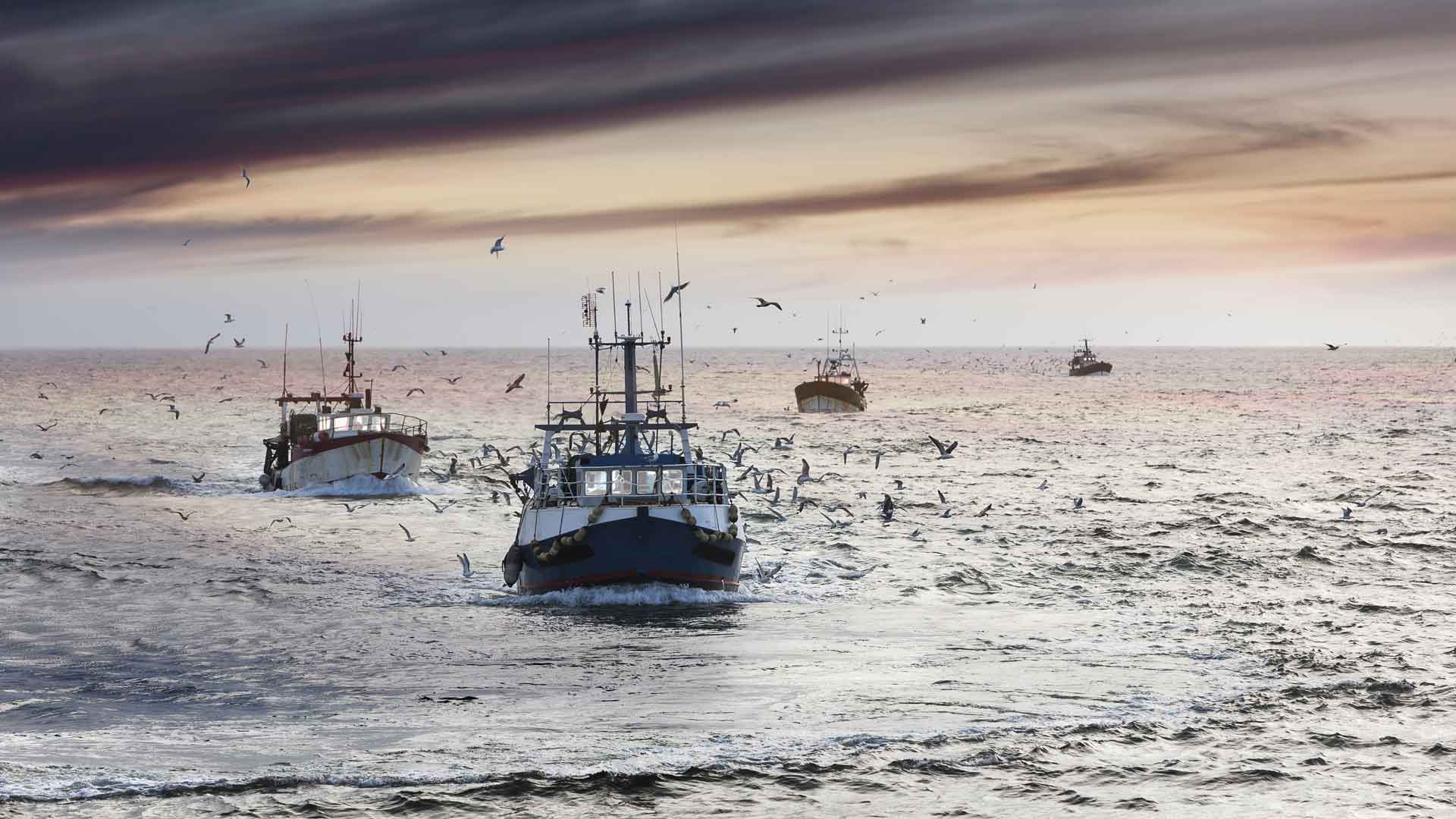 Fischerei-Subventionen befeuern die Überfischung. Es braucht endlich ein Abkommen dagegen. Doch die WTO handelt nicht.