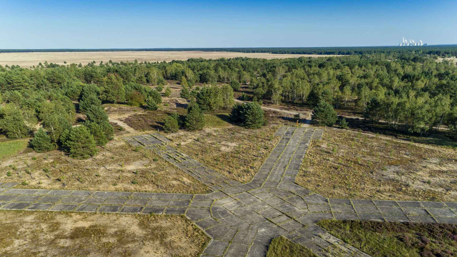 Wildnis in Deutschland: Lieberoser Heide in Brandenburg