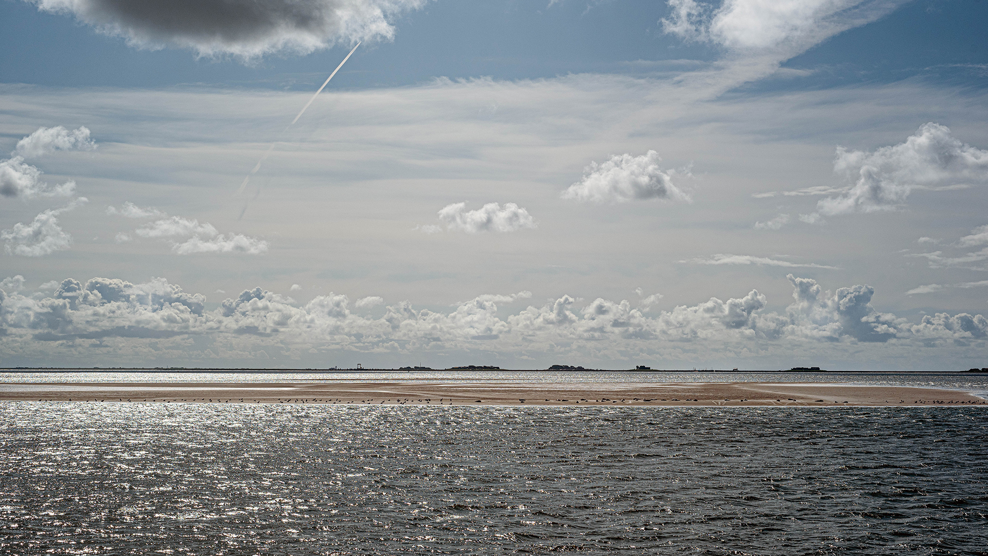 Meere retten: Blick auf das Wattenmeer