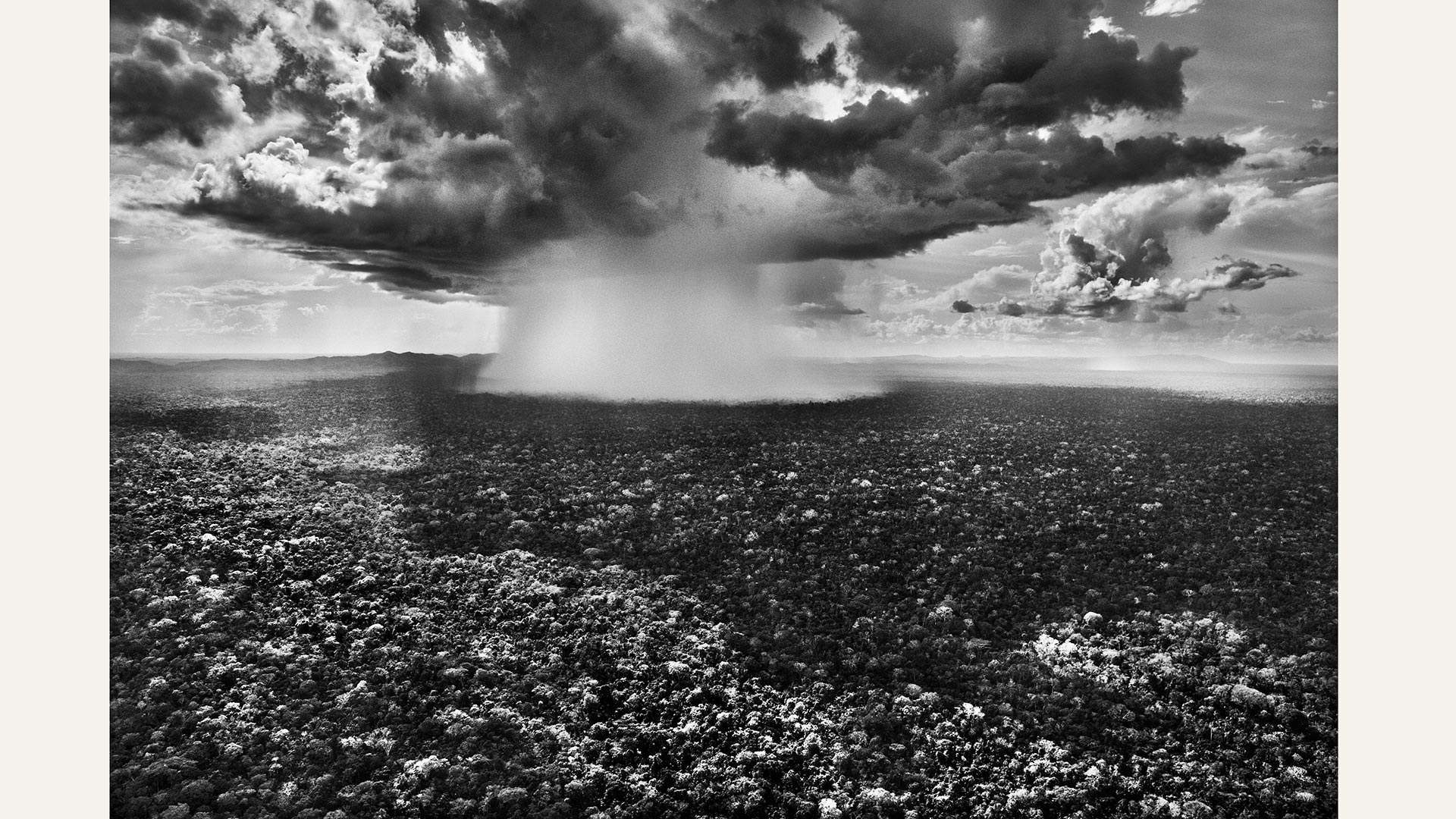 Wald Bild aus Sebastião Salgado. Amazônia TASCHEN Sebastião Salgado, Lélia Wanick Salgado