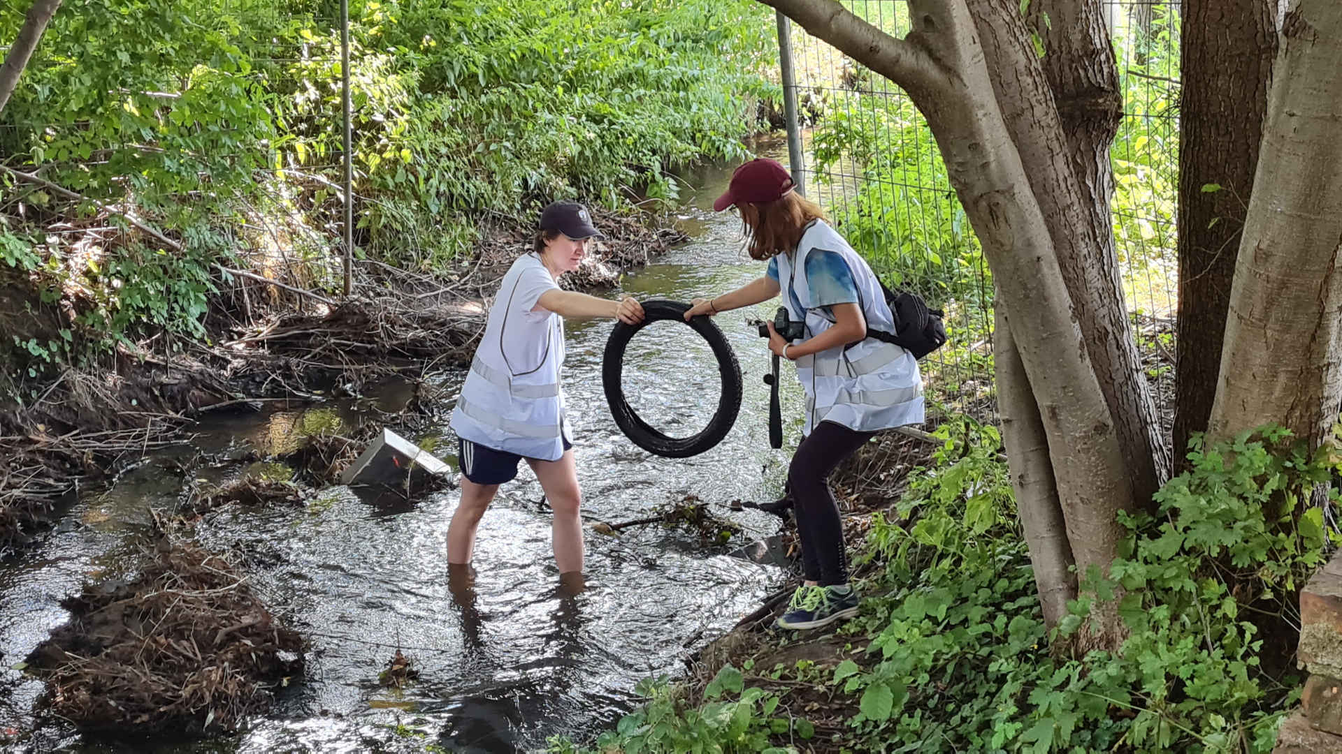 clean Up Walk: WWF Jugend holt einen alten Reifen aus einem Bach