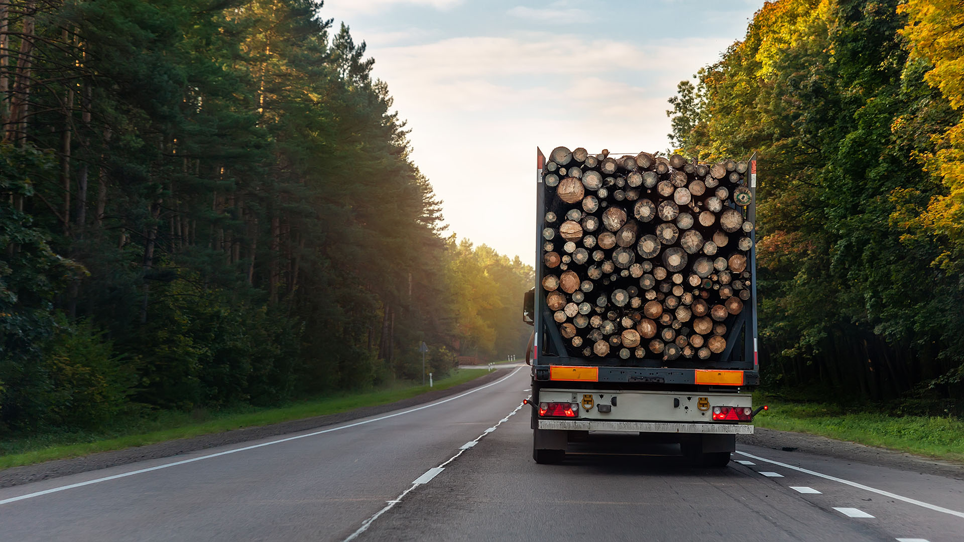 Holz Holzlaster Transport