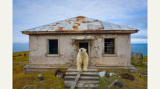 Eisbären auf verlassenen Wetterstation in Russland. Insta: @master.blaster www.dmitrykokh.com