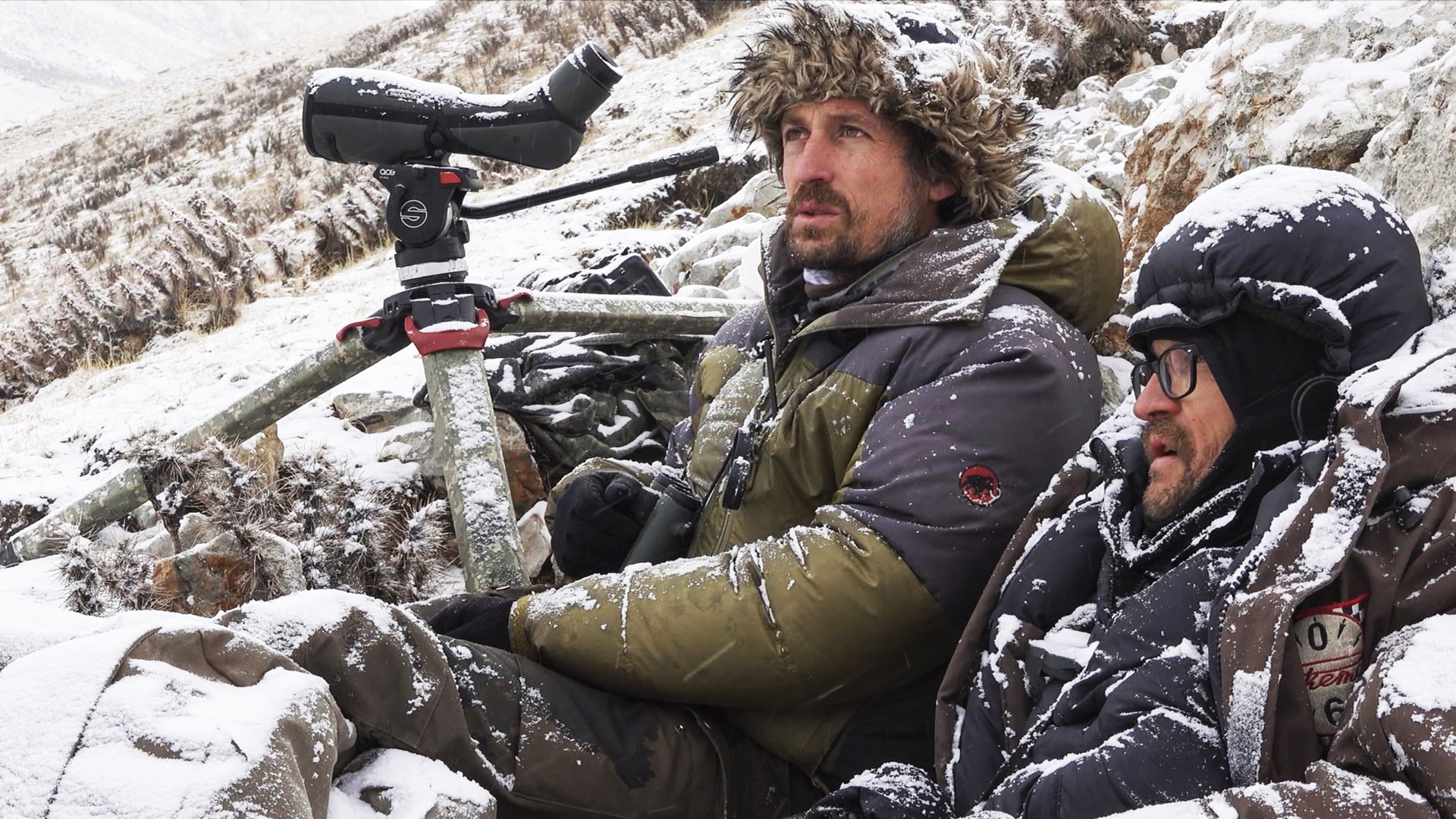Schneeleopard: Vincent Munier und Sylvain Tesson