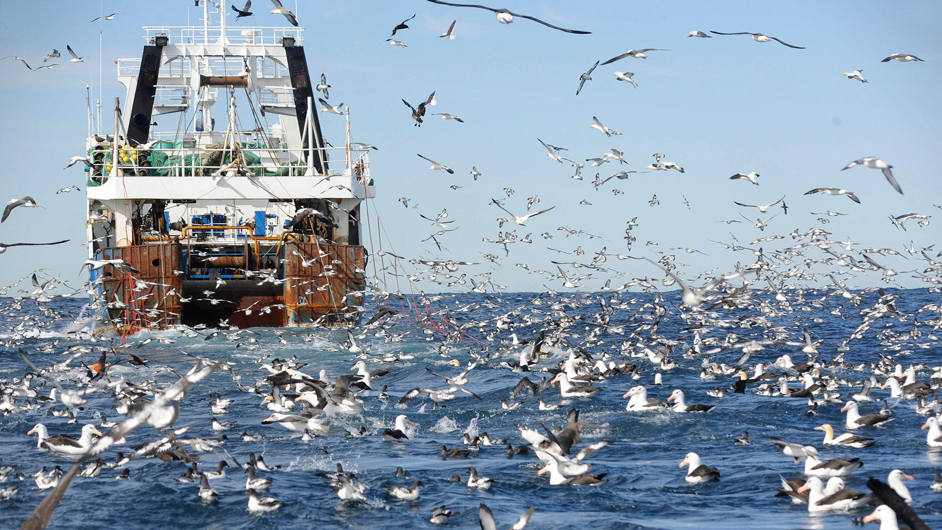 Fischerboot-Trawler-Atlantik-Ueberfischung-0102728282h-1920-IMAGO-blickwinkel