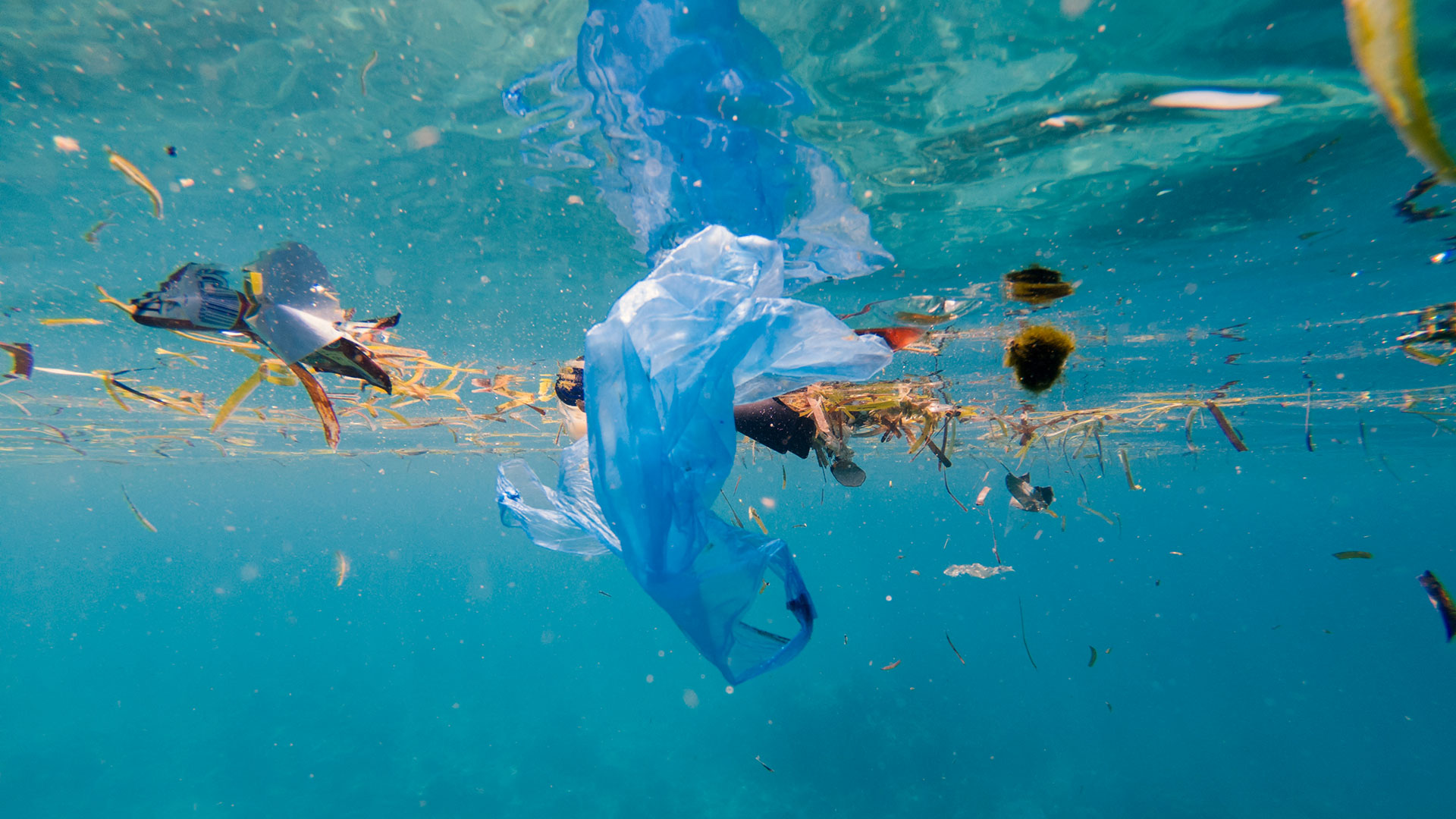 The oceans are drowning in plastic waste