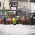 Kühe werden in Bayern durch das Hochwasser getrieben © Imago/Bernd März