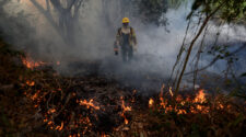 Feuerwehrmann im Pantanal läuft durch brennenden Wald, Brasilien leidet auch im Amazonas und dem Cerrado unter den schwersten Bränden